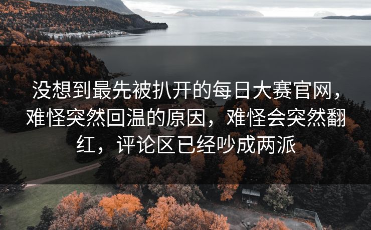 没想到最先被扒开的每日大赛官网，难怪突然回温的原因，难怪会突然翻红，评论区已经吵成两派