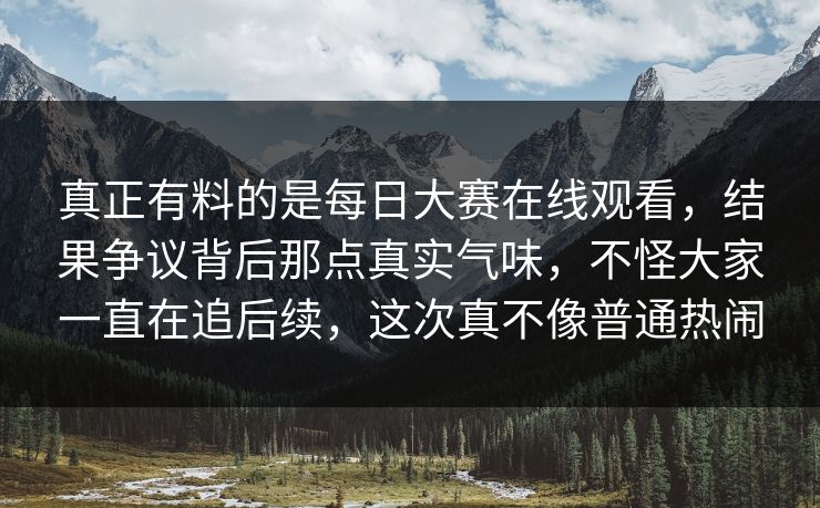 真正有料的是每日大赛在线观看，结果争议背后那点真实气味，不怪大家一直在追后续，这次真不像普通热闹