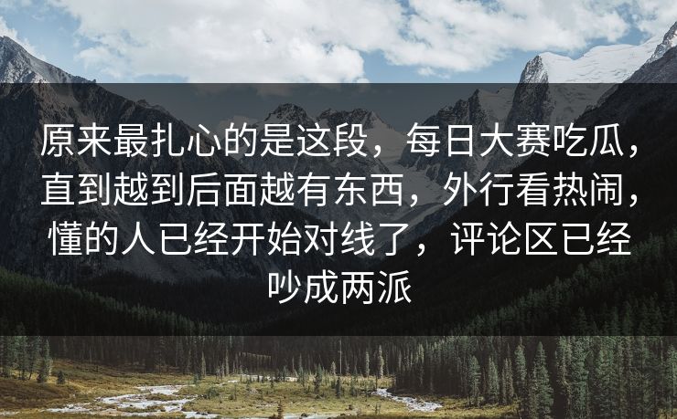 原来最扎心的是这段，每日大赛吃瓜，直到越到后面越有东西，外行看热闹，懂的人已经开始对线了，评论区已经吵成两派